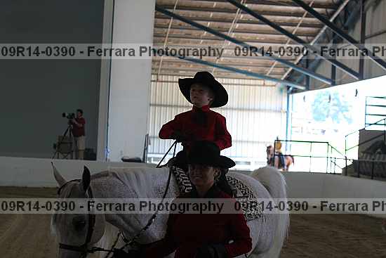 Proof 09r14-0390