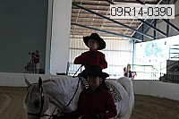 09r14-0390 proof