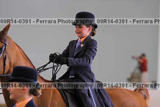 Proof 09r14-0391