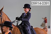 09r14-0391 proof