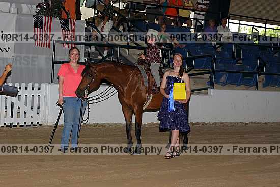Proof 09r14-0397