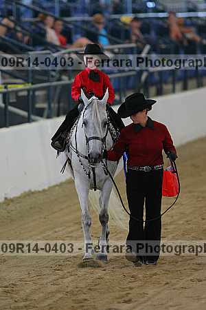 Proof 09r14-0403