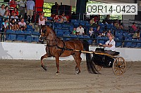 09r14-0423 proof