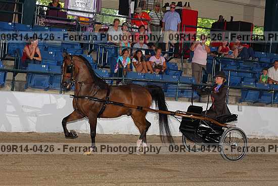 Proof 09r14-0426