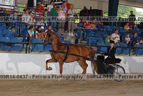 Proof 09r14-0437