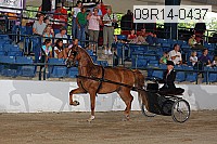 09r14-0437 proof