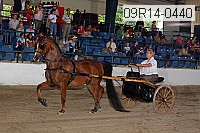 09r14-0440 proof
