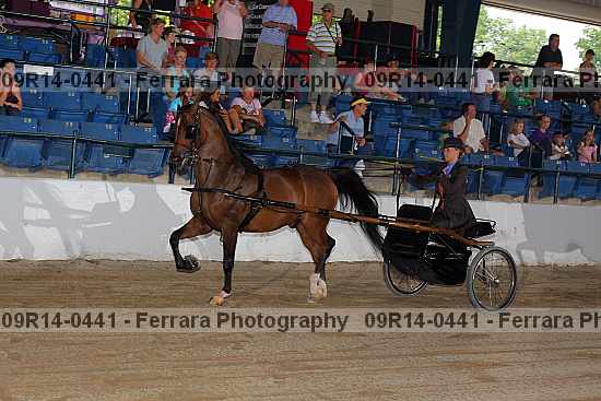 Proof 09r14-0441