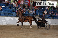 09r14-0441 proof