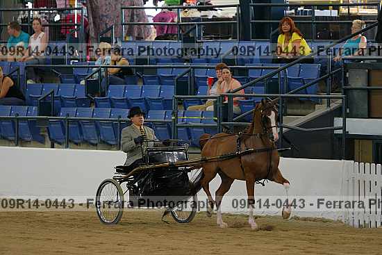 Proof 09r14-0443
