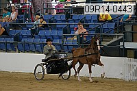09r14-0443 proof