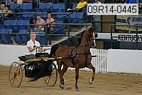09r14-0445 proof