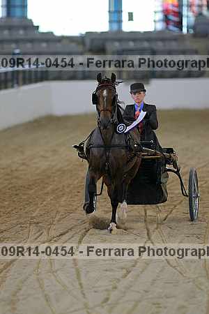 Proof 09r14-0454