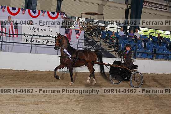 Proof 09r14-0462