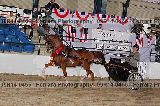 Proof 09r14-0466