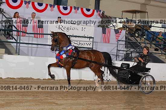 Proof 09r14-0467