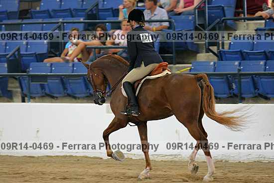 Proof 09r14-0469