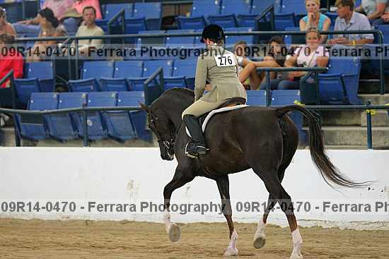Proof 09r14-0470
