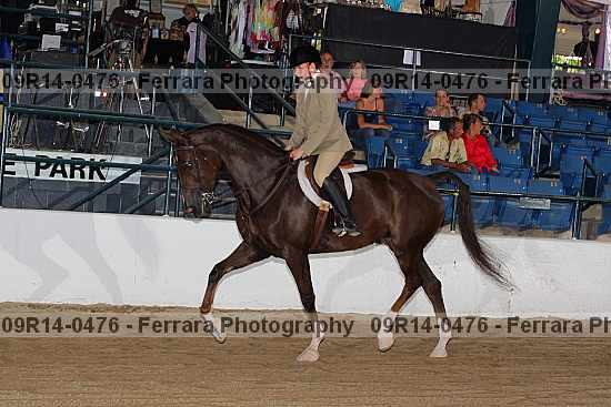 Proof 09r14-0476