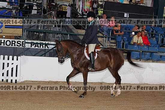 Proof 09r14-0477