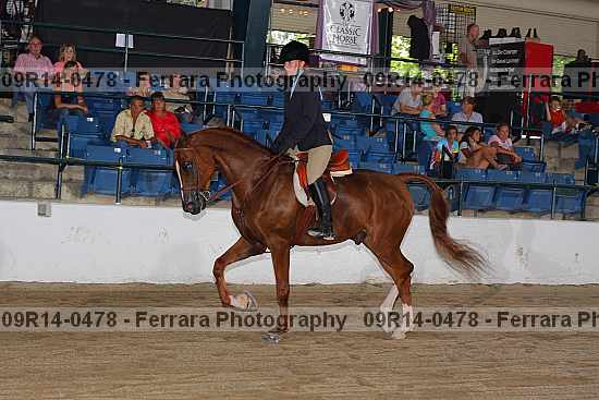 Proof 09r14-0478