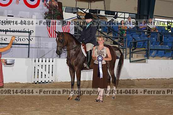 Proof 09r14-0484