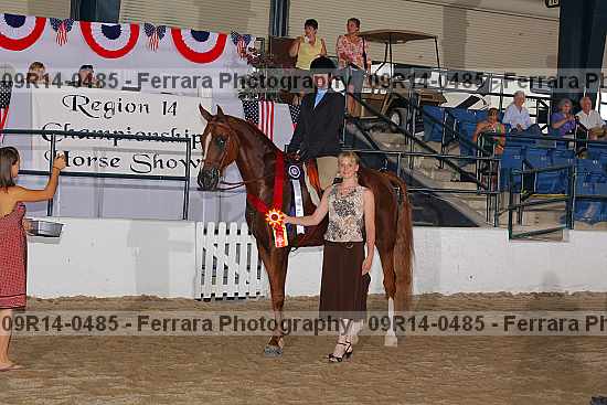 Proof 09r14-0485