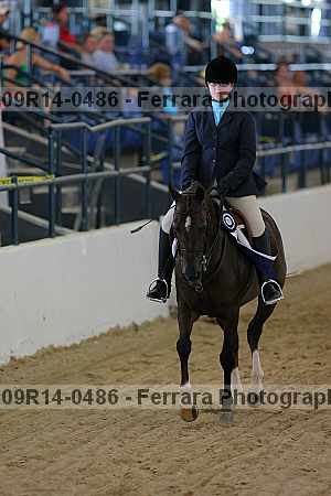 Proof 09r14-0486