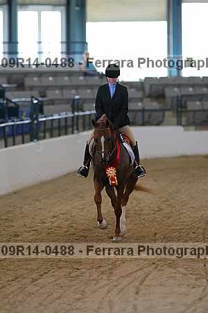 Proof 09r14-0488