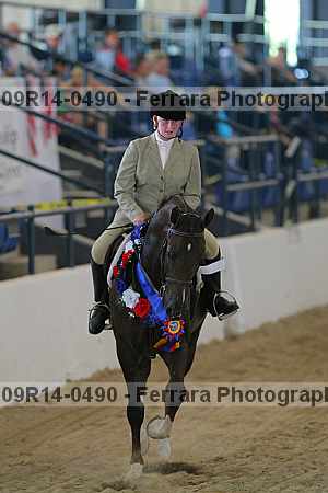 Proof 09r14-0490