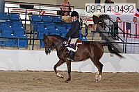 09r14-0492 proof