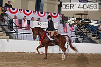 09r14-0493 proof