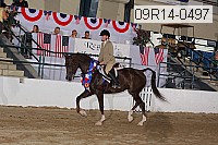 09r14-0497 proof