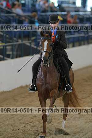 Proof 09r14-0501