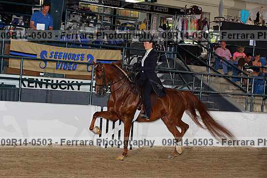 Proof 09r14-0503