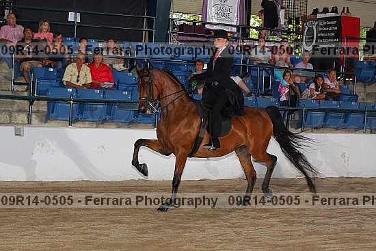 Proof 09r14-0505