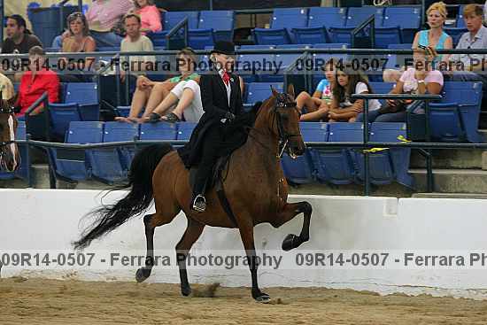 Proof 09r14-0507