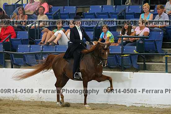 Proof 09r14-0508
