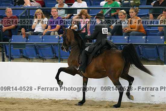 Proof 09r14-0528