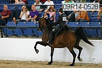 09r14-0528 proof