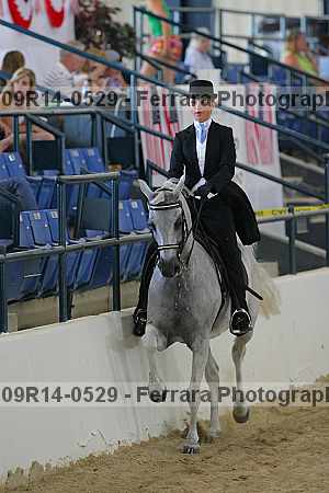Proof 09r14-0529
