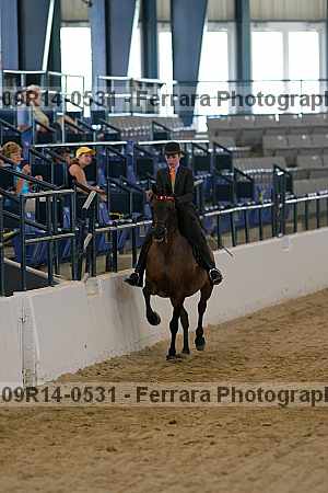 Proof 09r14-0531