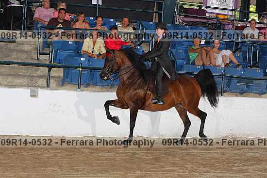 Proof 09r14-0532