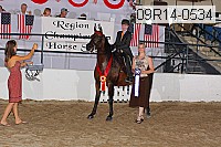 09r14-0534 proof