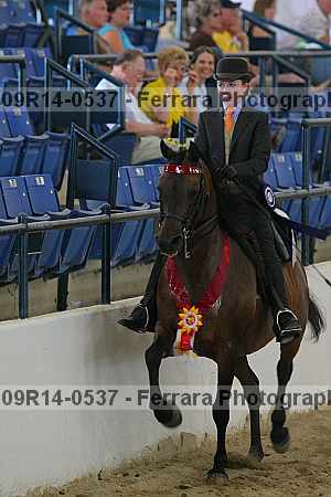 Proof 09r14-0537