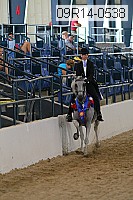 09r14-0538 proof