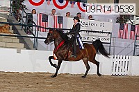 09r14-0539 proof