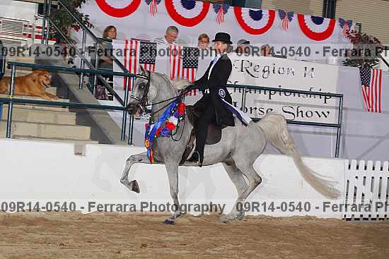 Proof 09r14-0540
