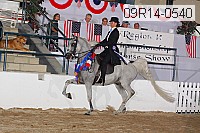 09r14-0540 proof