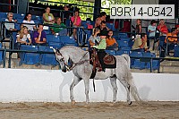 09r14-0542 proof